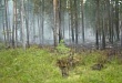 Особый противопожарный режим отменен